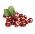 Sour Cherries (pitted) Frozen - 600g image 0