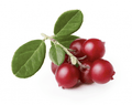 Cowberries - Lingonberries Frozen - 300g image 0