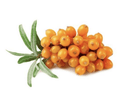 Sea Buckthorn Berries Frozen - 300g image 0